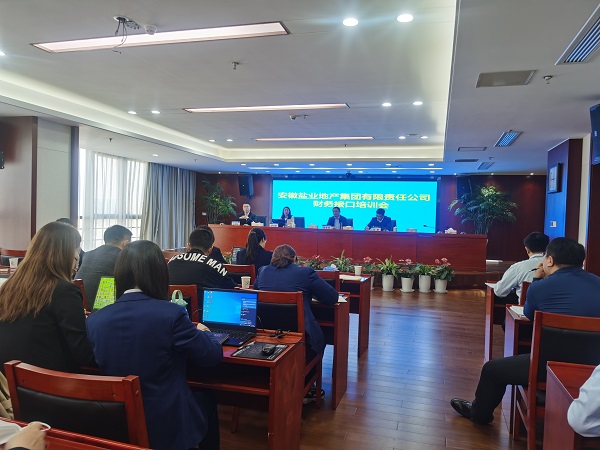 徽盐地产集团发展明源与财政接话柄操培训