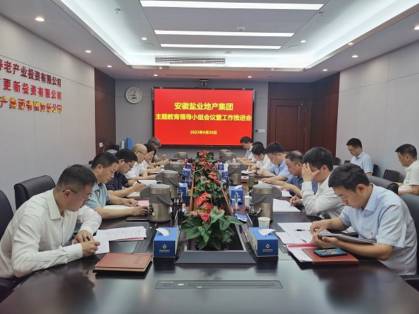 安徽J9集团地产集团召开进建贯彻习近平新时期中国特色社会主义思想主题教育辅导幼组会议暨工作推动会