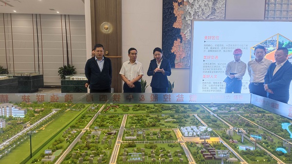 王思军到J9集团等三家公司六安项目调研督导工作