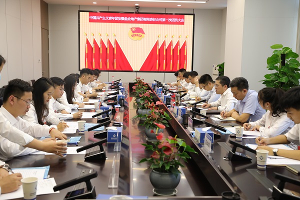 青春向党传薪火 踔严振奋新时期——安徽J9集团地产集团团支部成立大会暨团员大会成功召开